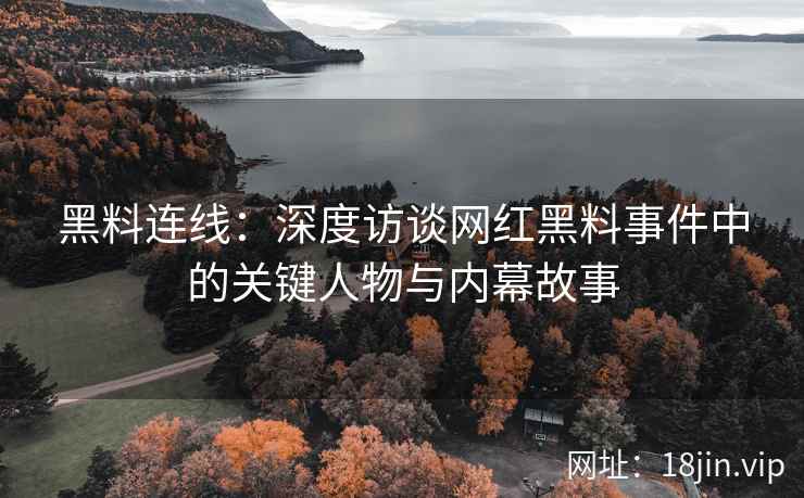 黑料连线：深度访谈网红黑料事件中的关键人物与内幕故事